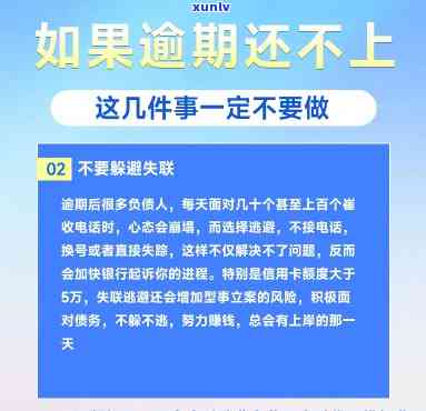 了解并解决个人信用逾期的 *** 和步骤