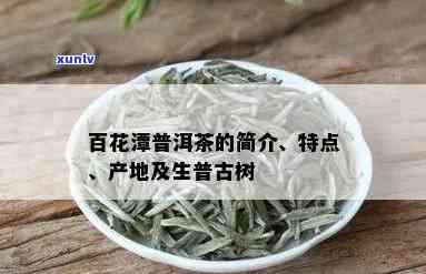 百花潭普洱茶的功效介绍：价格，作用与功效全面解析