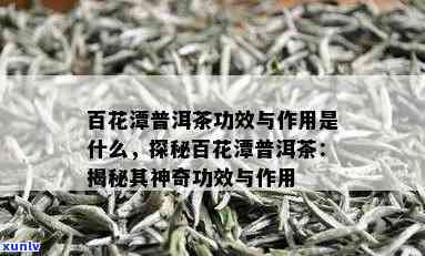 百花潭普洱茶的功效介绍：价格，作用与功效全面解析