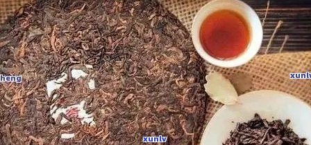 紫韵普洱茶：品种特点、品质鉴与泡法详解，让你全面了解这款茶的魅力