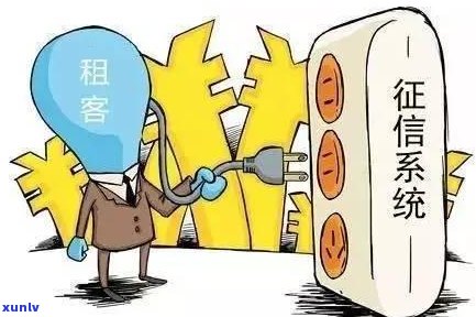 怎么知道租客信用卡逾期