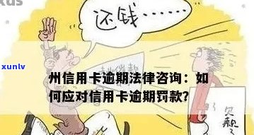 信用卡债务逾期解决方案：法务专家指导与实际操作指南