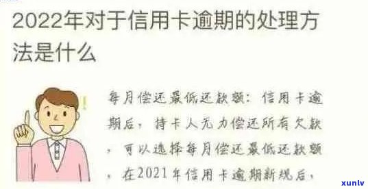 秉县信用卡逾期相关问题全面解析及应对措 *** 咨询