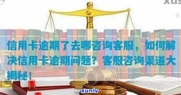 全面解决信用卡逾期问题：有效调解话术技巧与实用指南