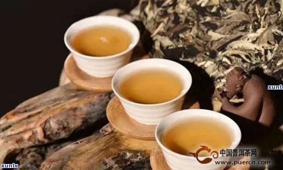 陈年老普洱茶：品质、功效与适饮性详解，是否适合饮用？