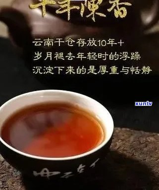 陈年普洱茶：品质与口感的完美结合