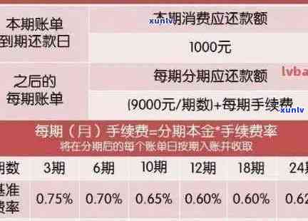 信用卡逾期还款策略：避免滞纳金的有效时间管理