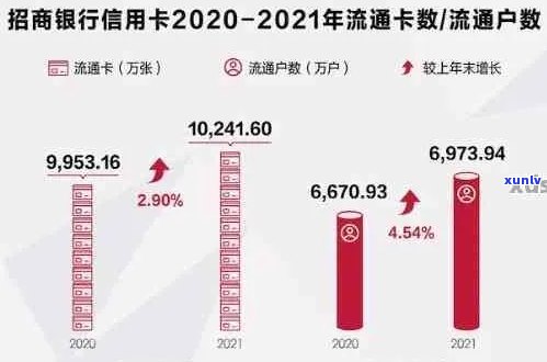 2021年信用卡逾期情况汇报与统计