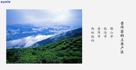 景迈山普洱熟茶：独特风味、显著功效与品鉴技巧详解