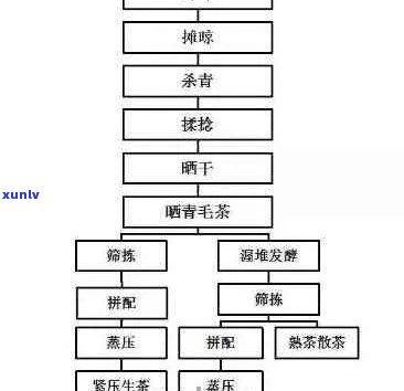 景迈山普洱茶的独特风味及其 *** 工艺分析