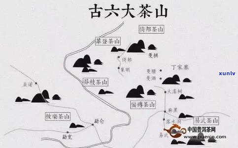 全面解析普洱茶六大茶山：新老茶山特色对比与挑选指南