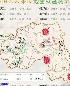 全面解析普洱茶新六大茶山：产地、特点、口感、文化等一网打尽