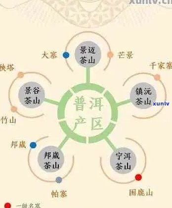 全面解析普洱茶新六大茶山：产地、特点、口感、文化等一网打尽