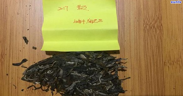 普洱茶六大茶山揭晓：独具特色的新主角