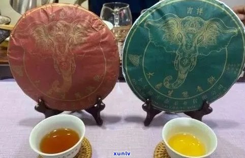 新 大益七彩雀普洱茶：品鉴独特风味与收藏价值