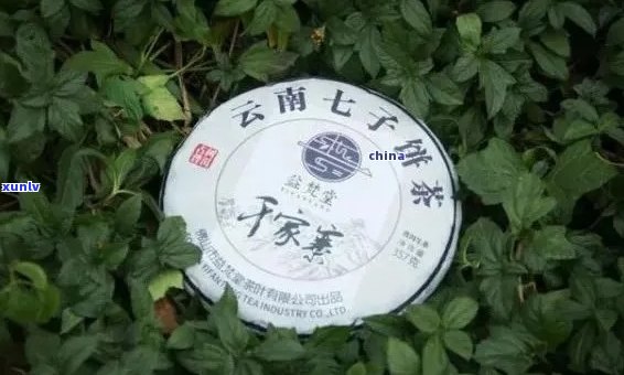 新 大益七彩雀普洱茶：品鉴独特风味与收藏价值