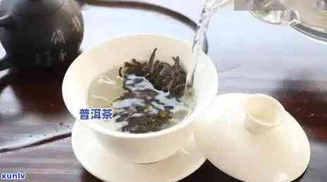 普洱茶冲泡的恰当度：何时使用热水与冷水？了解饮茶体验