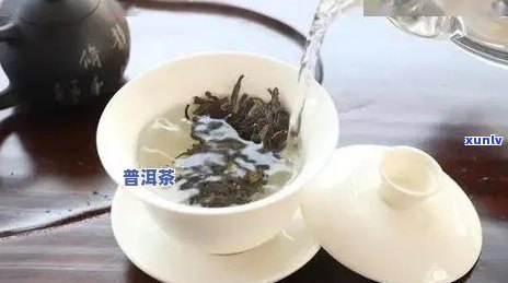 泡普洱茶的水：度是多少？