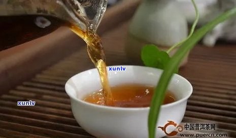 泡普洱茶的水：度是多少？