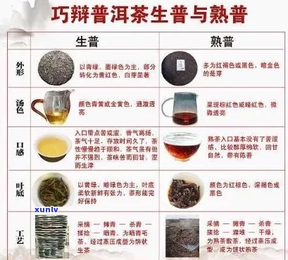 泡普洱茶度对照表