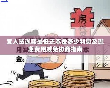 宜人贷逾期费用减免：探讨协商策略及其可能影响