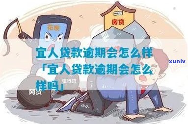 宜人贷信用卡有逾期