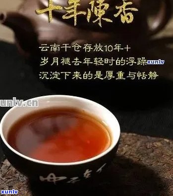 全面解析：十年陈年普洱茶的价格波动、品质特点与收藏价值-十年陈的普洱熟茶价格