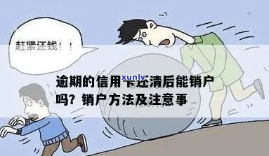 信用卡逾期后多久可以销户？销户流程及注意事项全解析