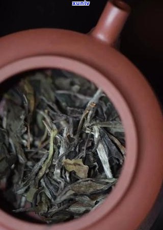 品质优良的普洱茶饼选购指南：从原料到 *** 工艺的全面解析