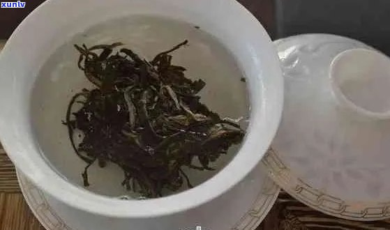 普洱茶干泡与湿泡法