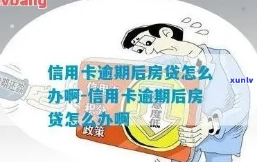 买房发现自己信用卡逾期