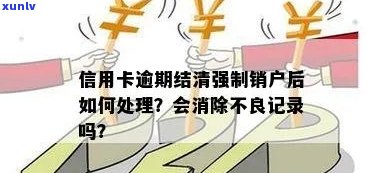 '信用卡逾期付清后强制销户，如何妥善处理？'