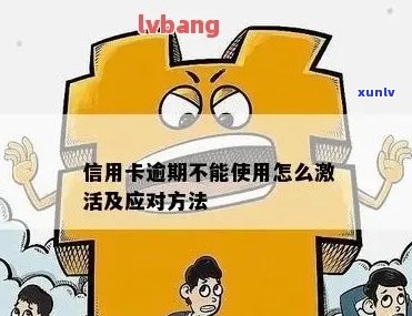 信用卡逾期后的有效解决步骤：如何重新激活你的信用额度