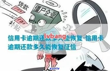 信用卡逾期后多久可以重新开通？逾期影响与恢复期详解