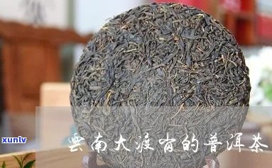 大渡岗茶叶怎么样？云南大渡岗茶叶实业总公司，好喝吗？