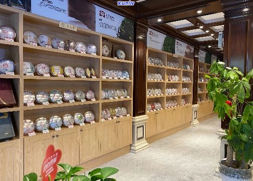 大渡岗普洱茶专营店