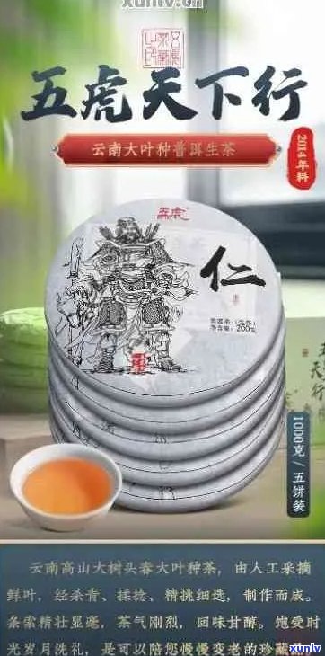 老同志普洱茶五虎将