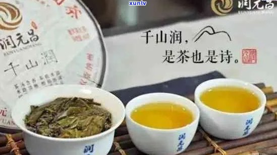 润元茶品精选：哪款普洱茶口感醇厚，回味悠长？