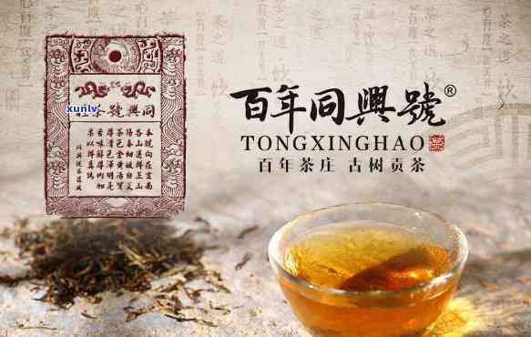 同兴号茶叶：传承古法，臻选青茶，品味人生