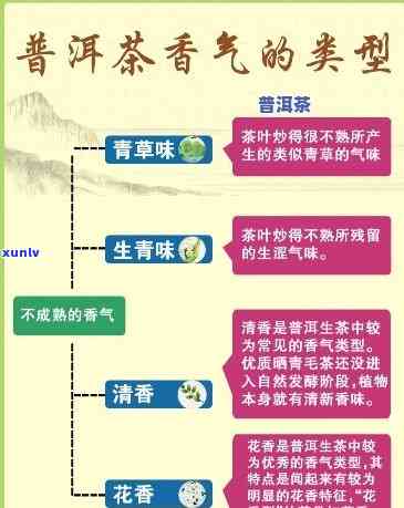 普洱茶的五大茶香类别详解：探索其独特的香气来源与品质差异