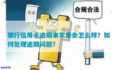 信用卡逾期天天去家里怎么办：解决策略与流程