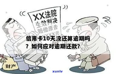 信用卡欠款10元，逾期还款后果与解决 *** 