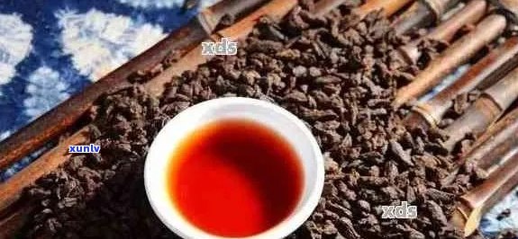 普洱茶一天饮用量：多少克？