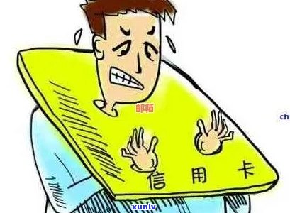 信用卡呆账的全面解析：原因、影响与解决办法