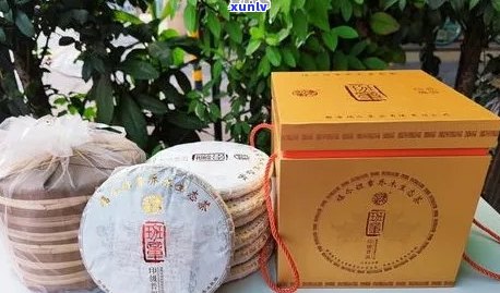 福村记的茶叶怎么样：普洱茶品质与口感体验