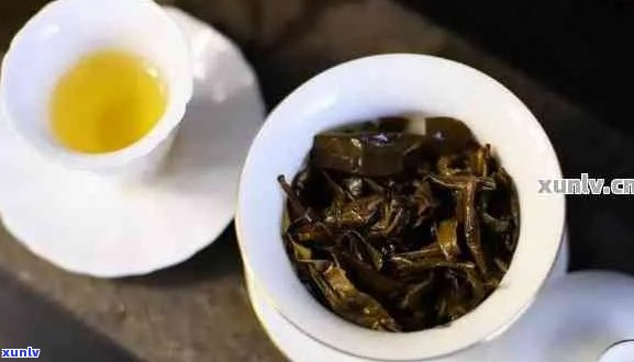 福村记的茶叶怎么样：普洱茶品质与口感体验