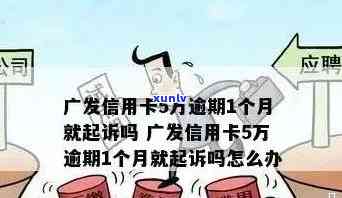 广发信用卡逾期抓捕处理流程与情况分析