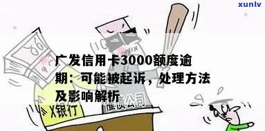 广发信用卡逾期抓捕处理流程与情况分析