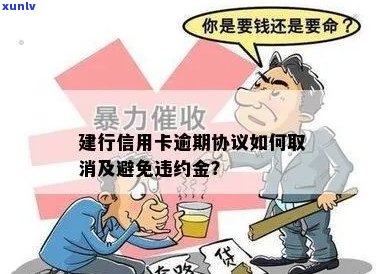 建行信用卡逾期减免违约金政策解析：如何避免高额违约金及解决逾期问题