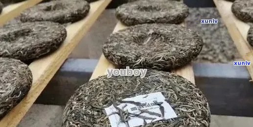 章家老寨普洱茶念茶饼：品种、产地、 *** 工艺与品鉴 *** 的全面解析